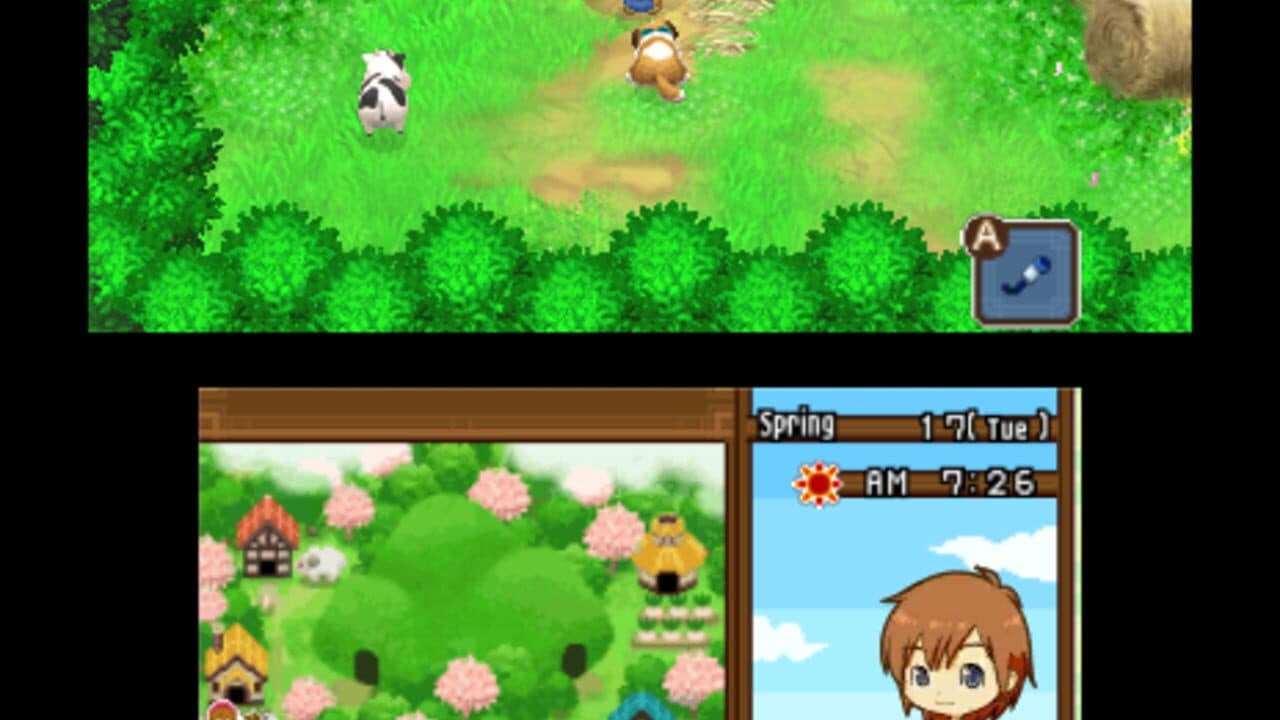 Harvest Moon: The Tale of Two Towns thumbnail 12