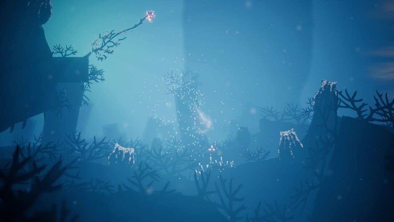 Koral thumbnail 4