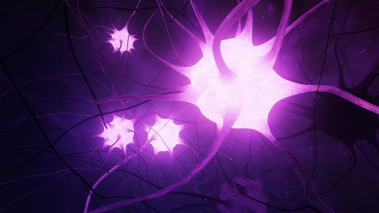 GE Neuro thumbnail 4