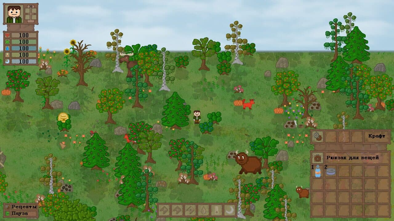 Lost In Woods 2 thumbnail 4