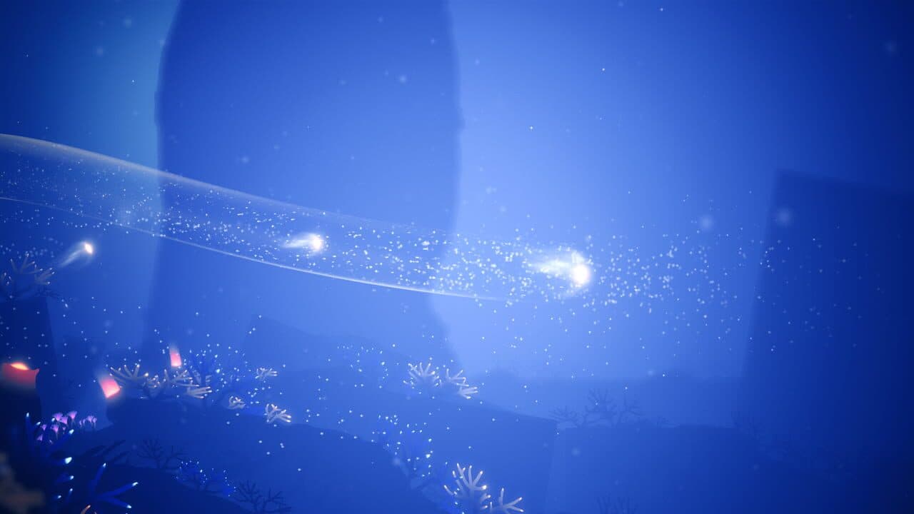 Koral thumbnail 6
