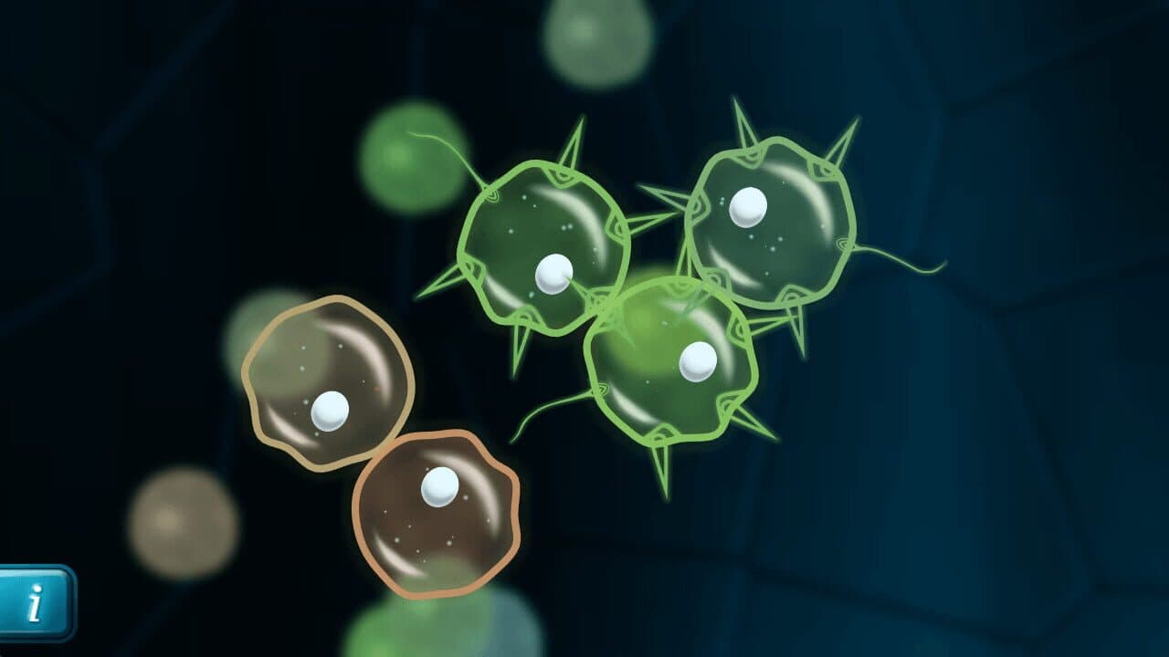 Mitosis thumbnail 4
