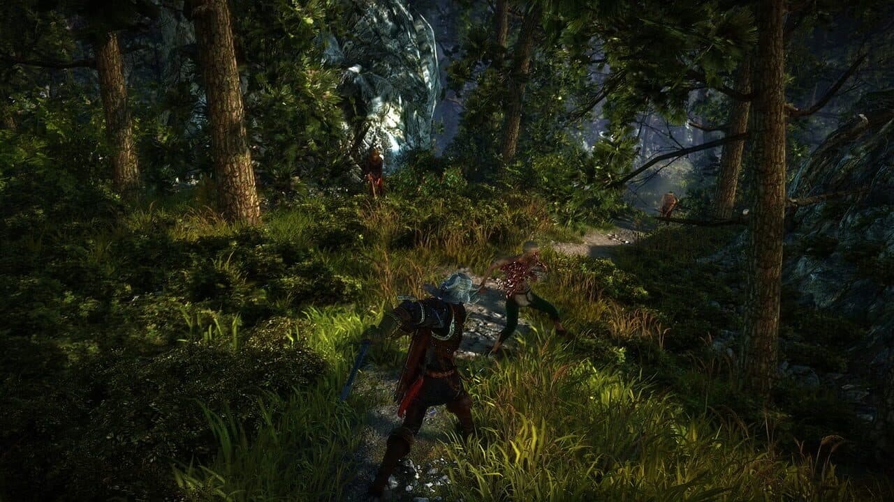The Witcher 2: Assassins of Kings thumbnail 3