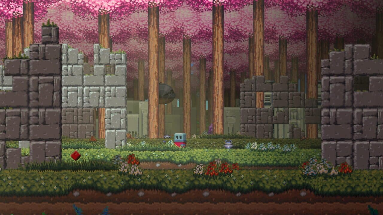 Poncho thumbnail 4