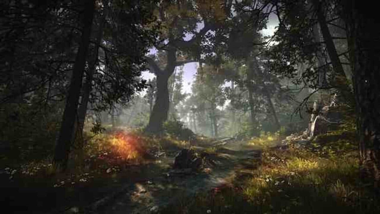 The Witcher 2: Assassins of Kings - Enhanced Edition screenshot 1