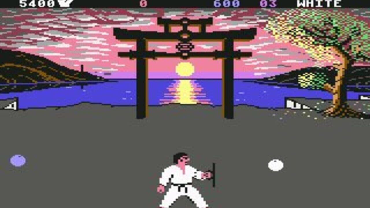 International Karate + thumbnail 3