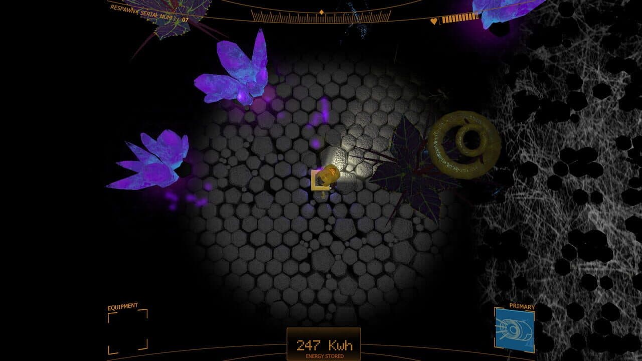 Canari thumbnail 4