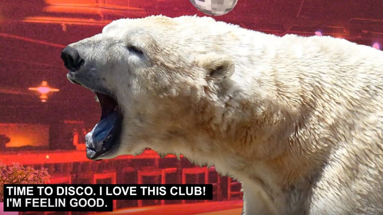 Disco Bear screenshot 1