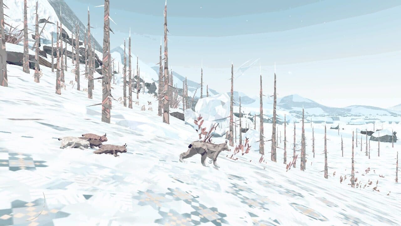 Shelter Generations thumbnail 3