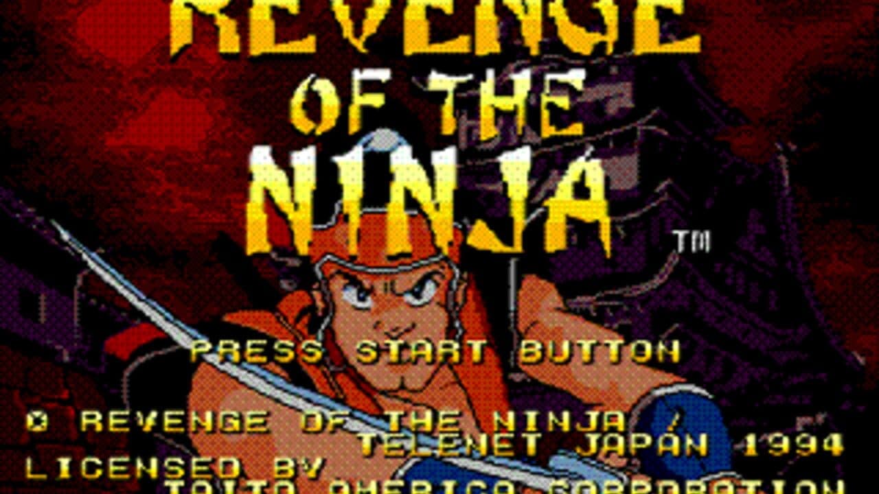 Revenge of the Ninja screenshot 1