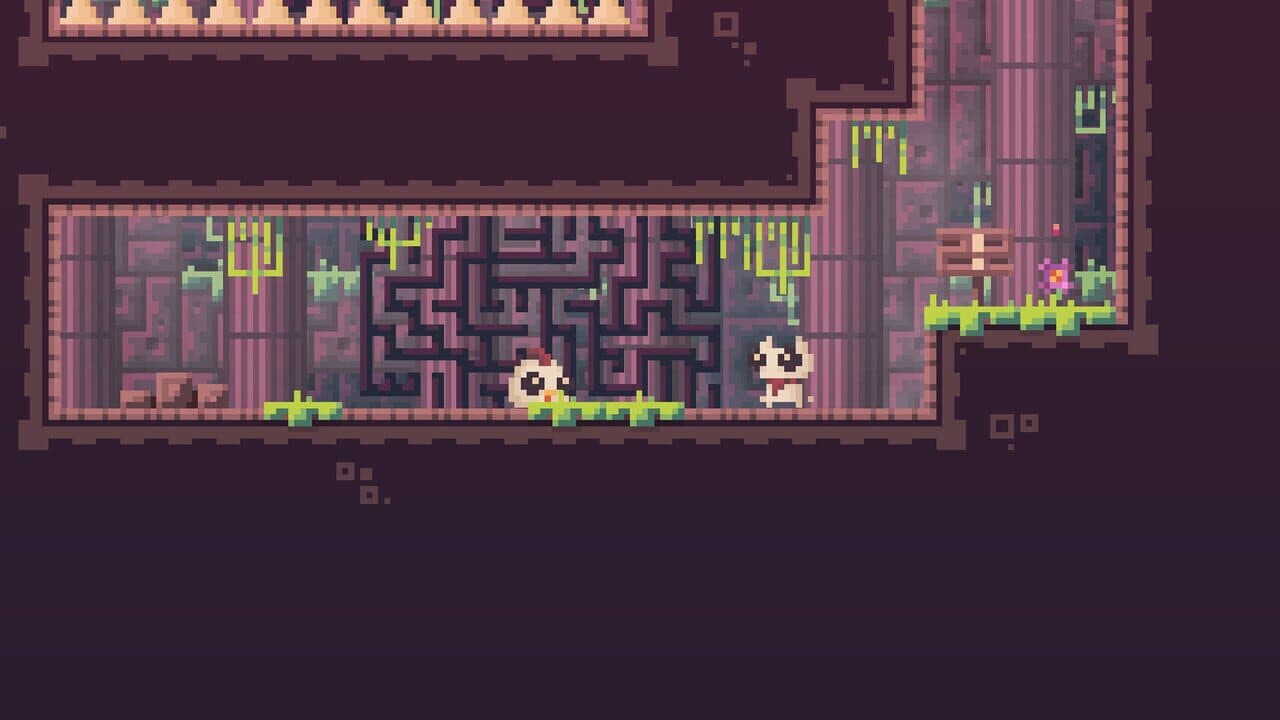 Reed screenshot 1