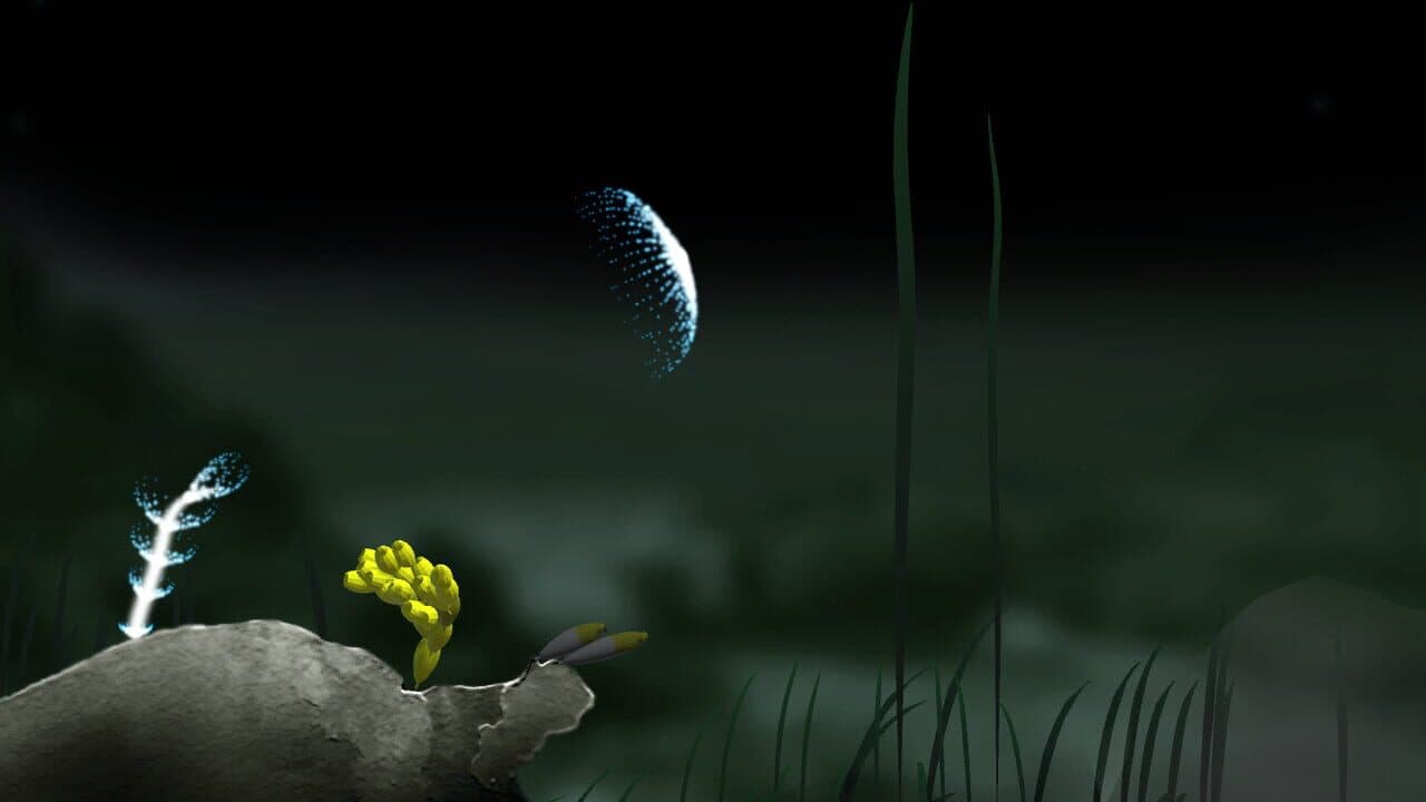 Jellyfish thumbnail 3