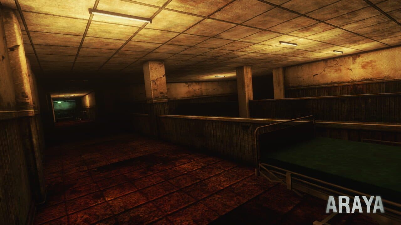 Araya thumbnail 5