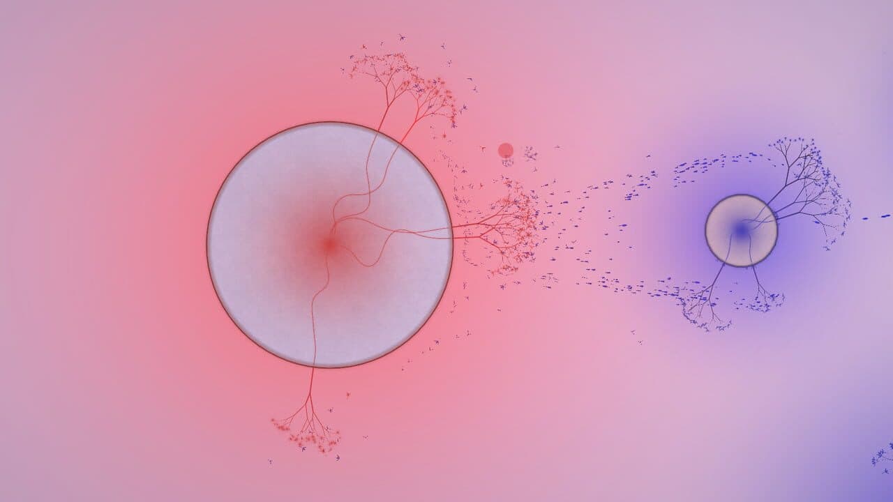 Eufloria thumbnail 5