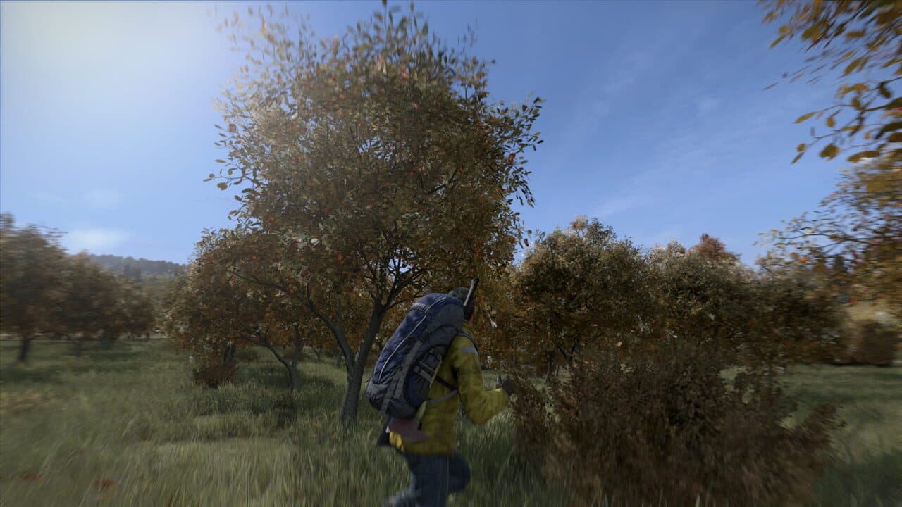 DayZ thumbnail 2