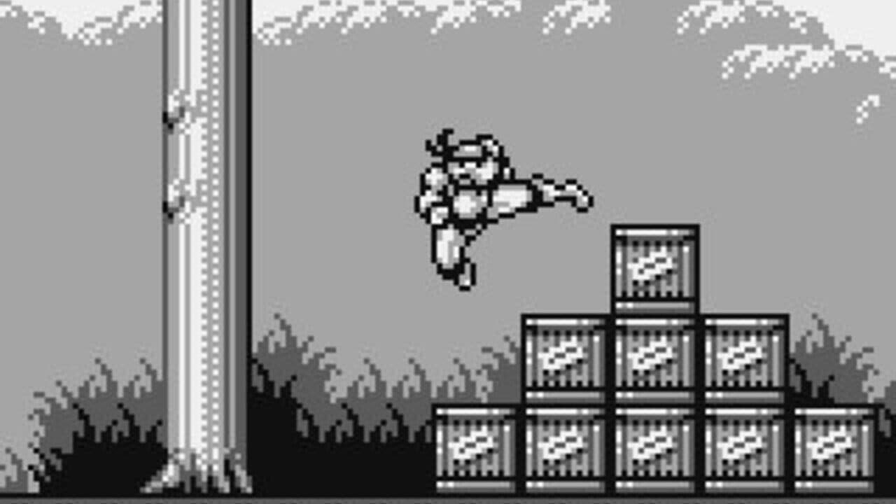 Teenage Mutant Ninja Turtles III: Radical Rescue thumbnail 2