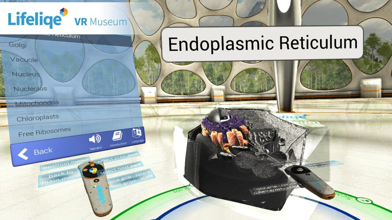 Lifeliqe VR Museum thumbnail 5