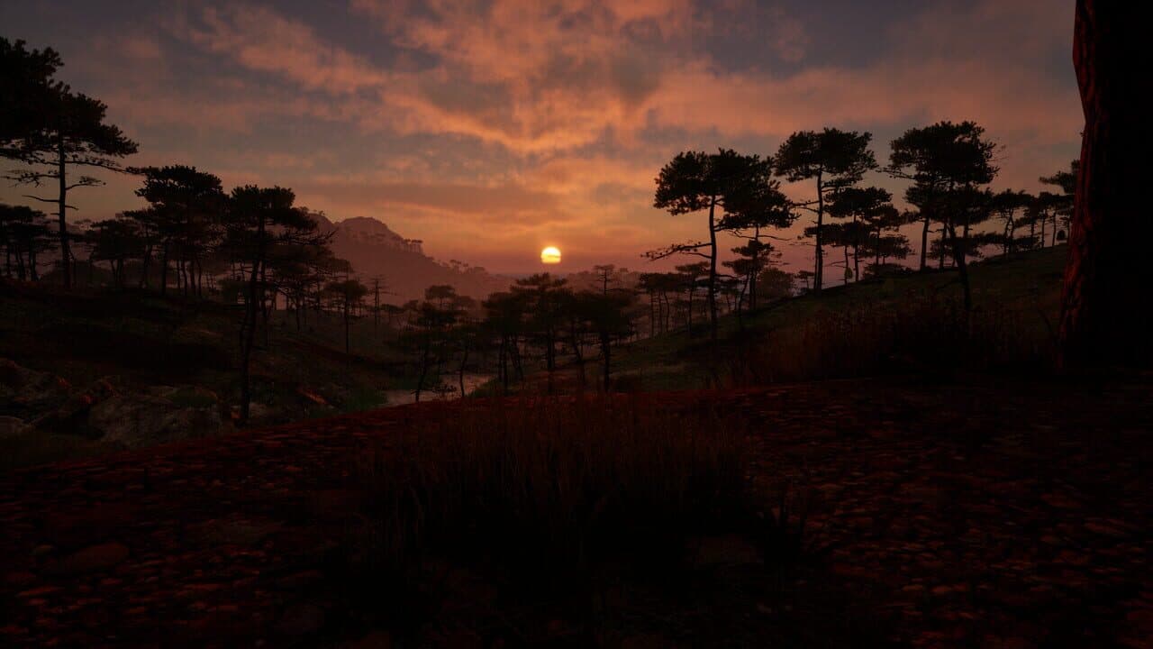 Grass Life Sim 2 thumbnail 3