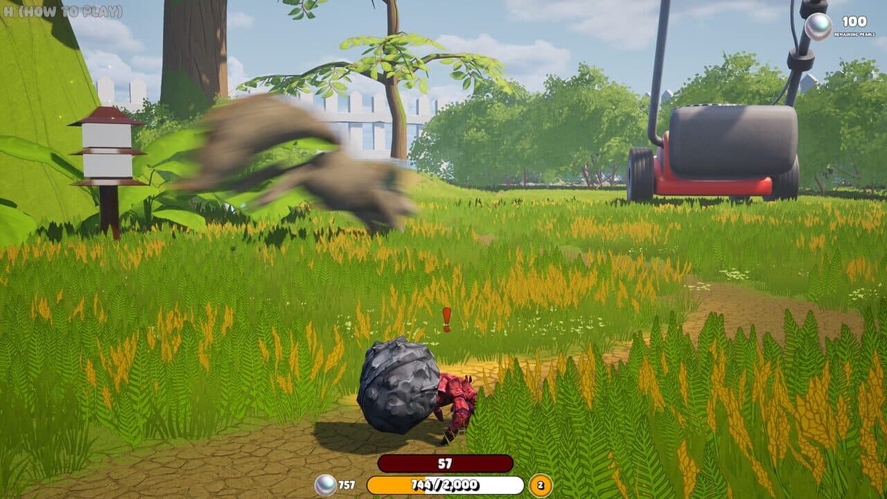 Crabs thumbnail 9