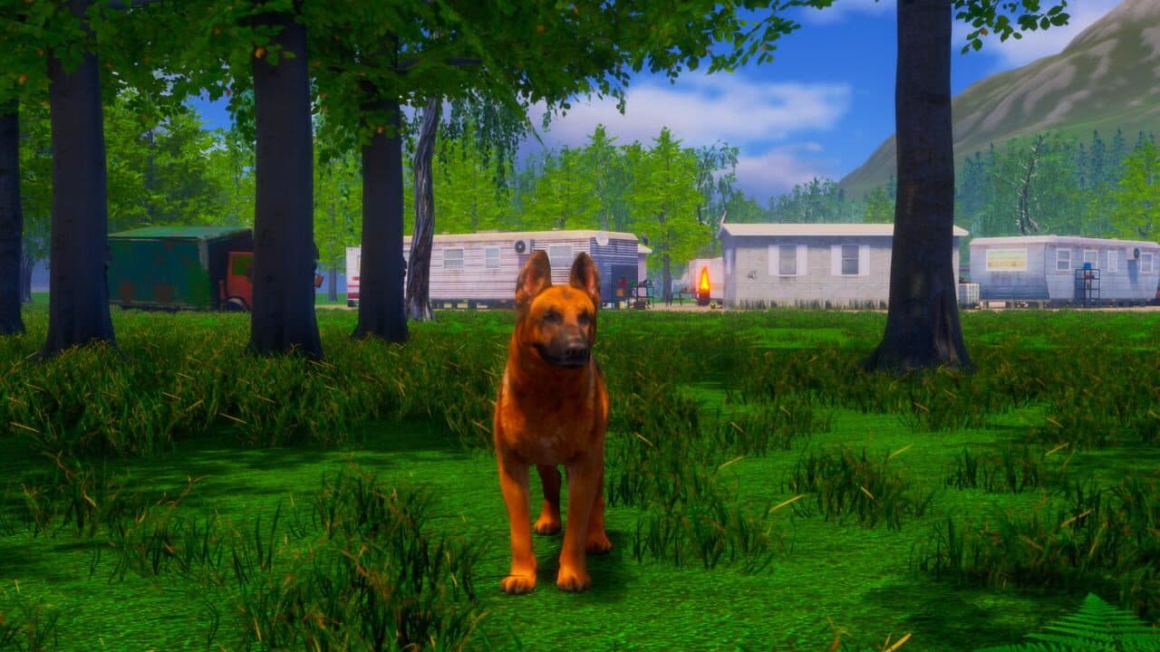 Lost Paws thumbnail 18