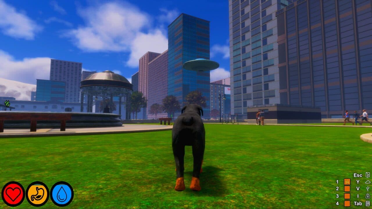 Lost Paws thumbnail 16
