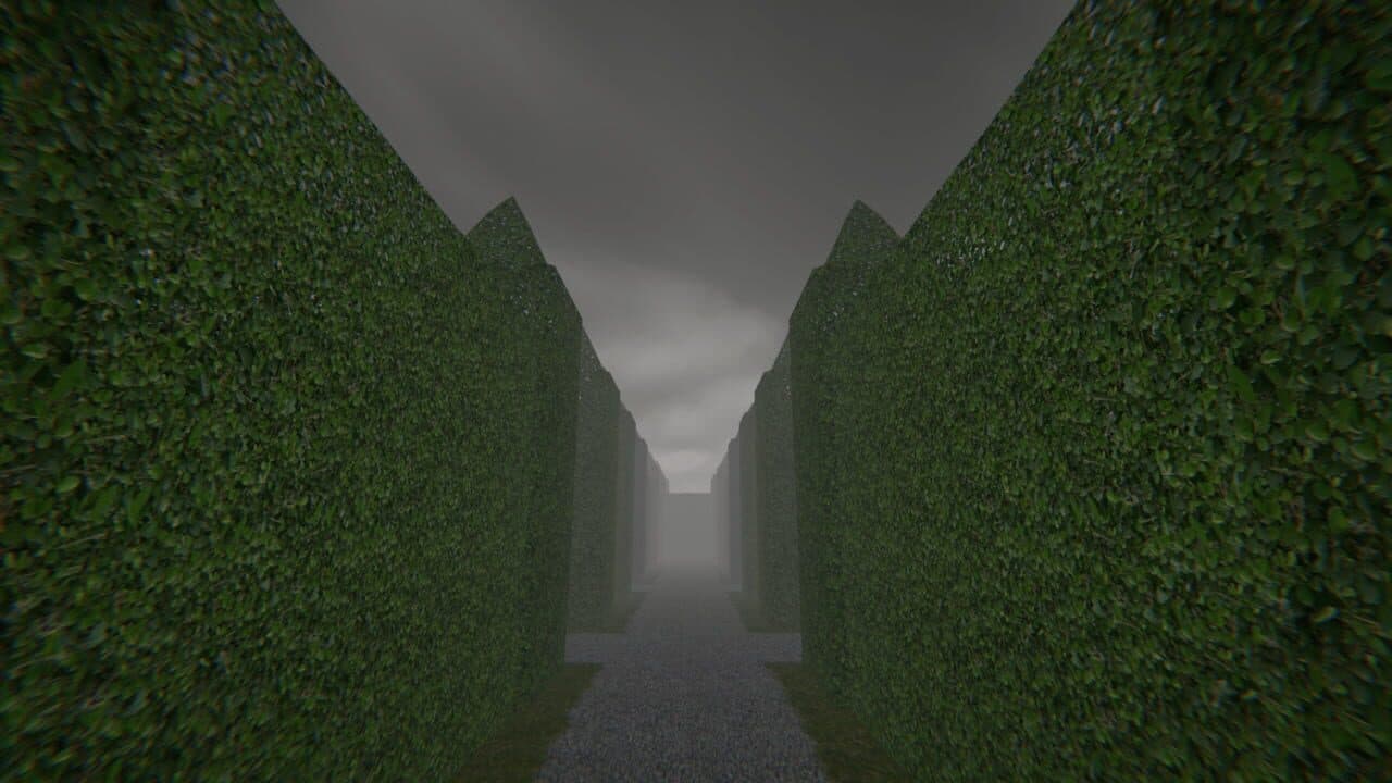 Project Maze thumbnail 3
