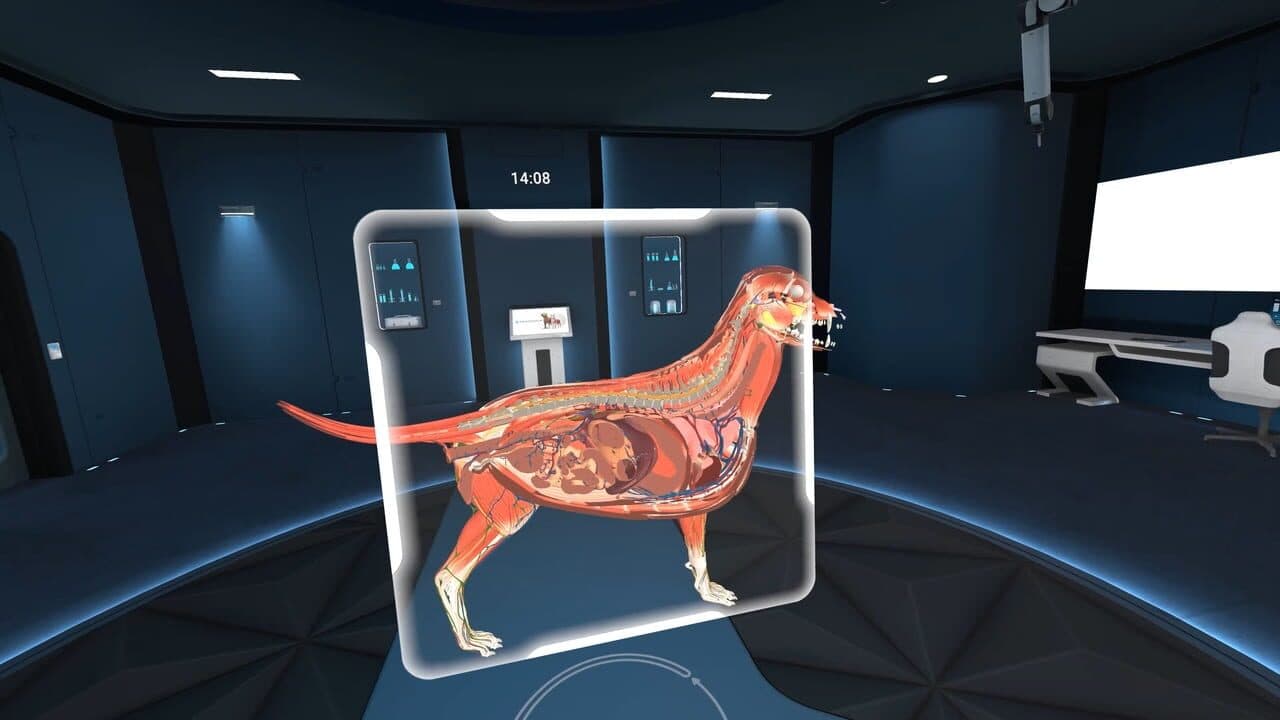 Animal Anatomy VR thumbnail 3