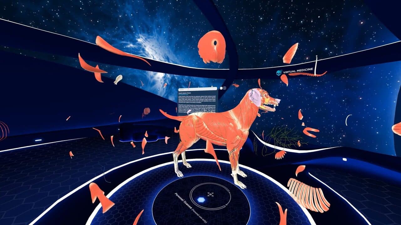 Animal Anatomy VR thumbnail 4