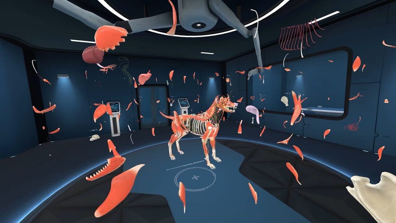 Animal Anatomy VR thumbnail 6