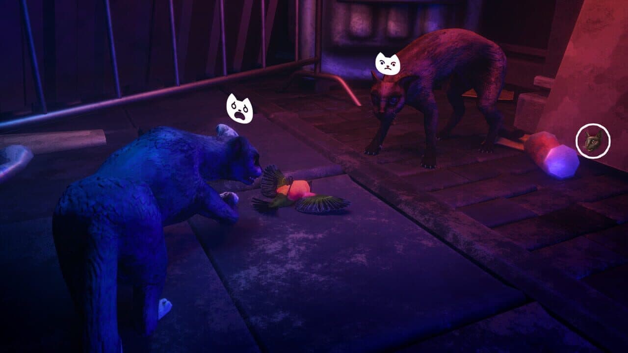 The Cat: Tales of Istanbul thumbnail 2