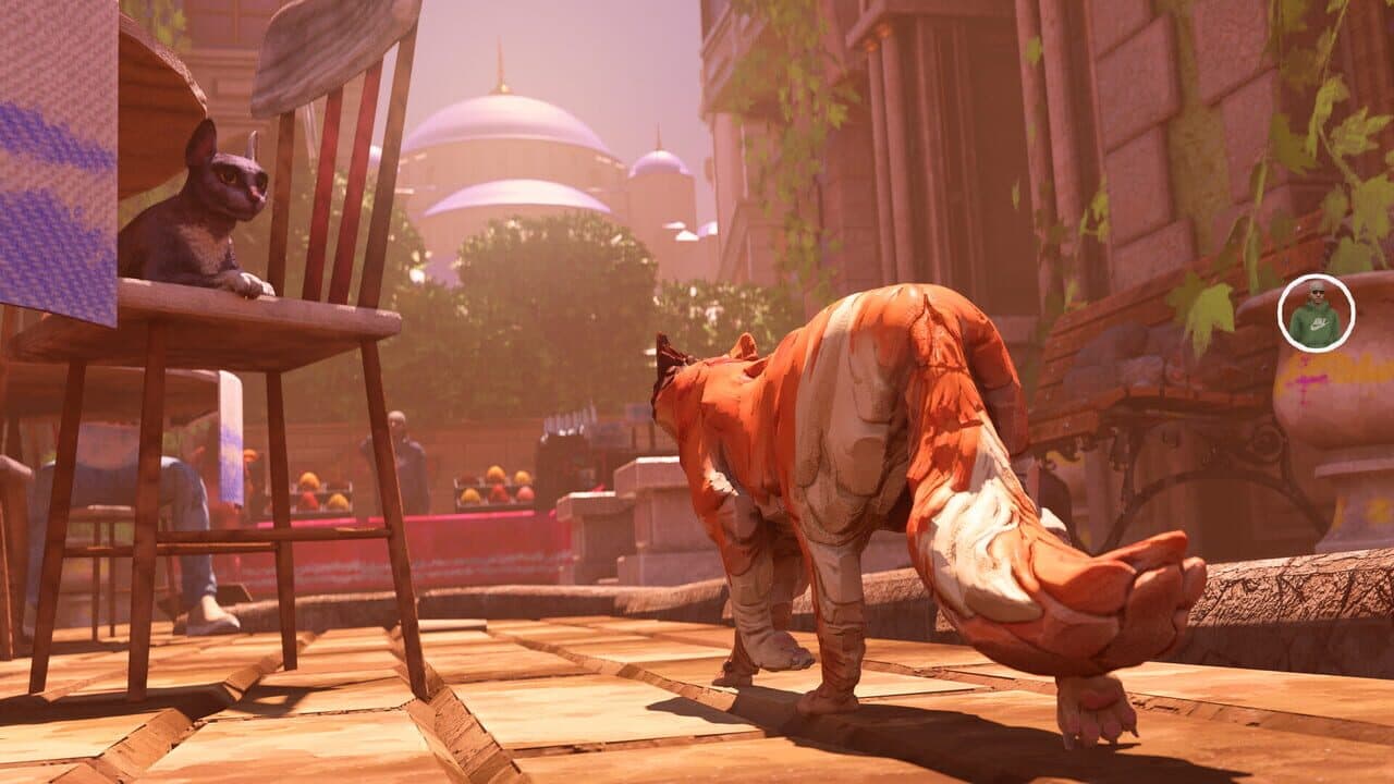 The Cat: Tales of Istanbul thumbnail 4