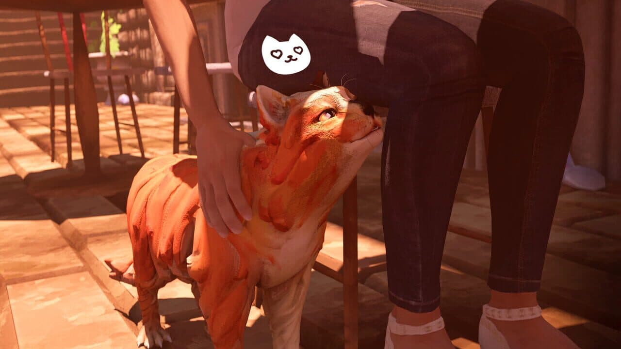 The Cat: Tales of Istanbul thumbnail 8