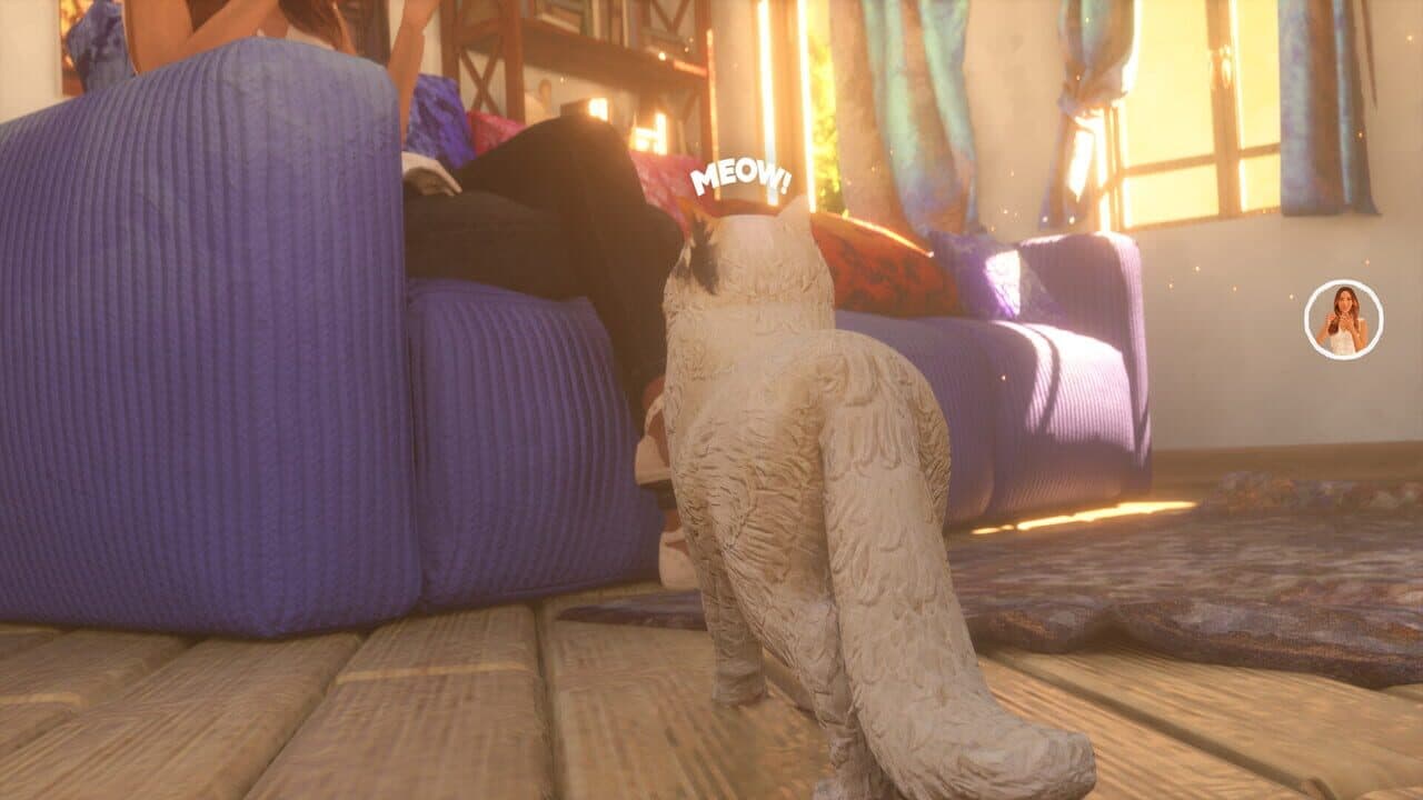 The Cat: Tales of Istanbul thumbnail 5