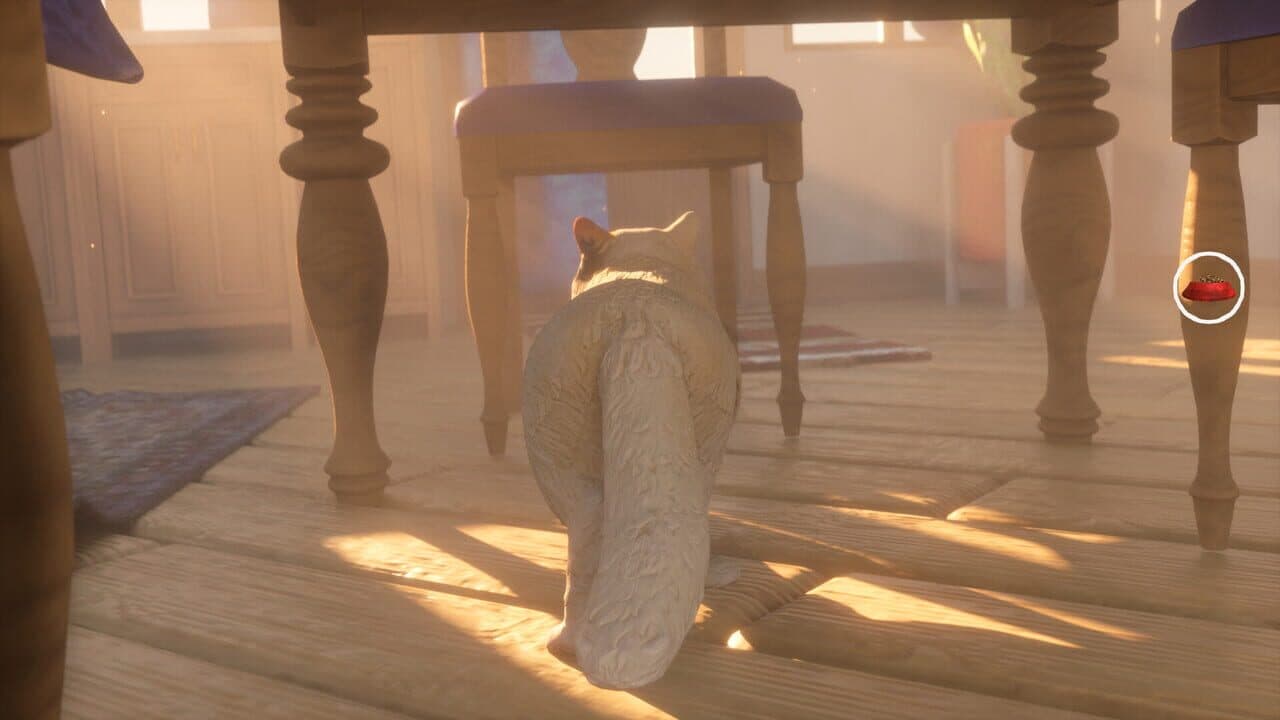 The Cat: Tales of Istanbul thumbnail 7