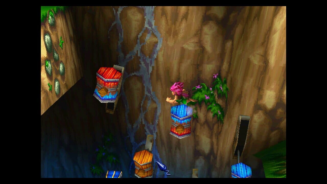 Tomba! 2: The Evil Swine Return Special Edition thumbnail 5
