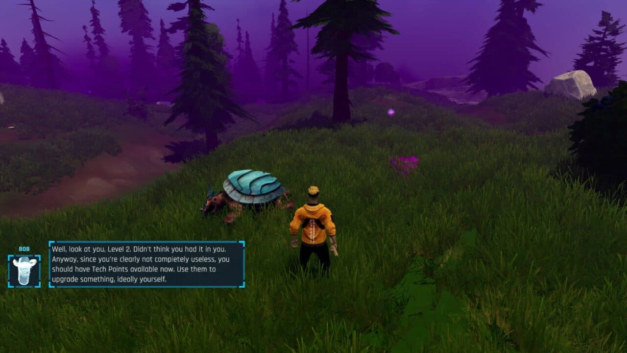 Wildsite thumbnail 4
