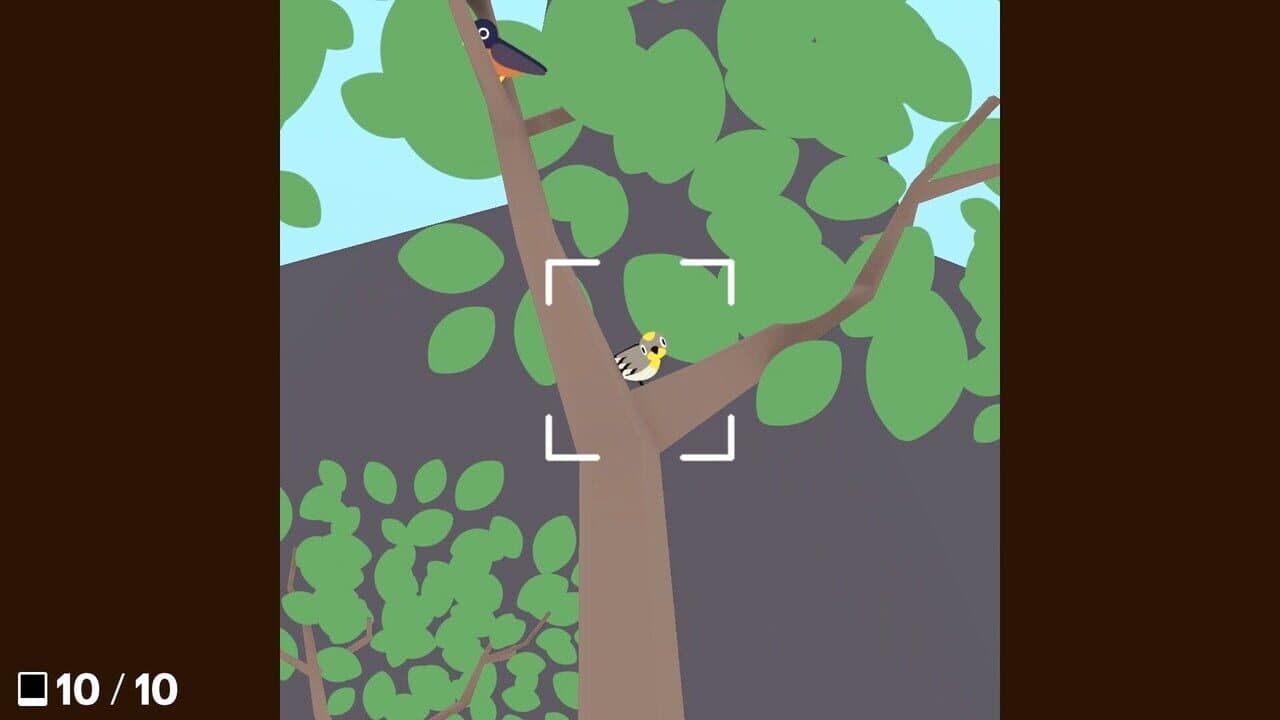 Flock Around thumbnail 8