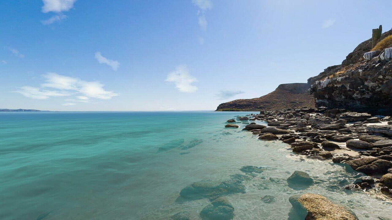 Real VR Fishing: Mexico DLC thumbnail 4