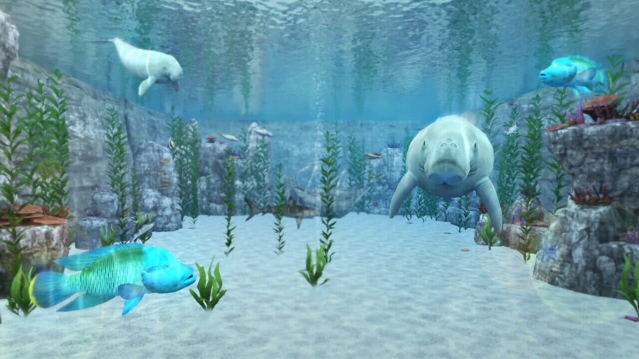 Real VR Fishing: Japan DLC Part 1 thumbnail 4
