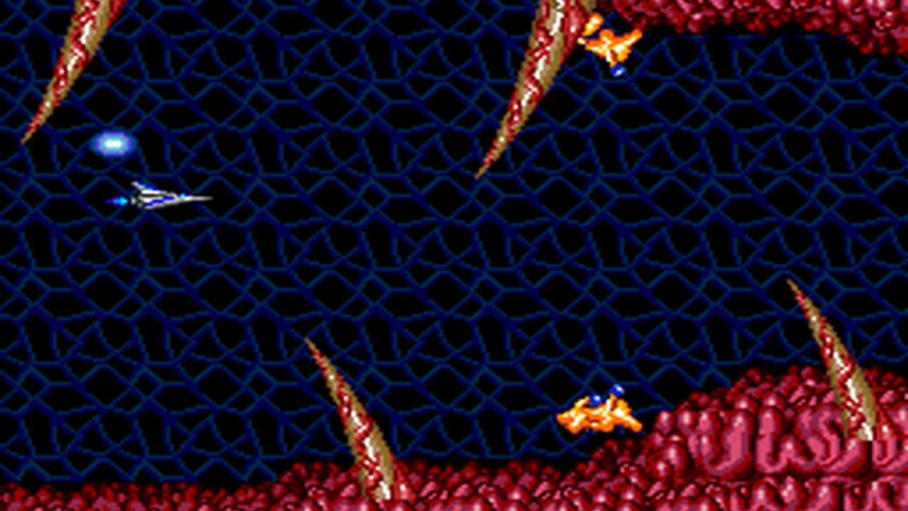 Salamander thumbnail 2