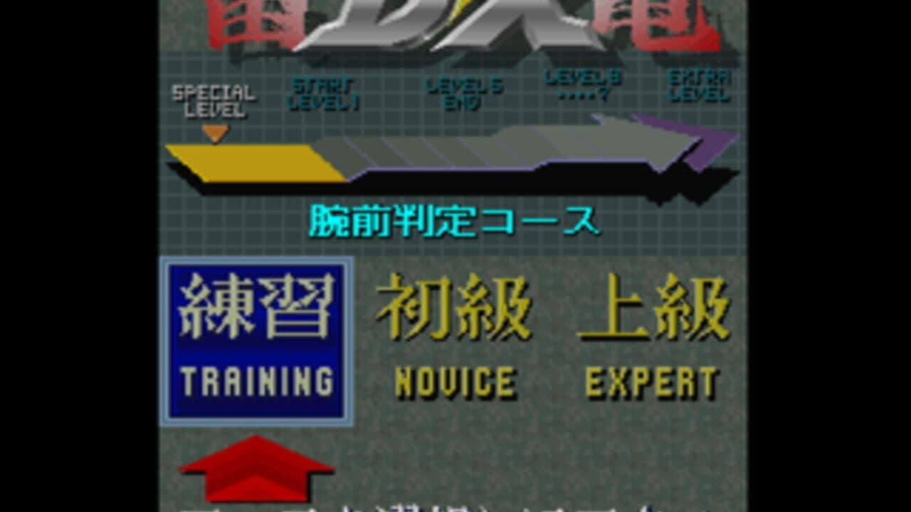 Raiden DX thumbnail 3