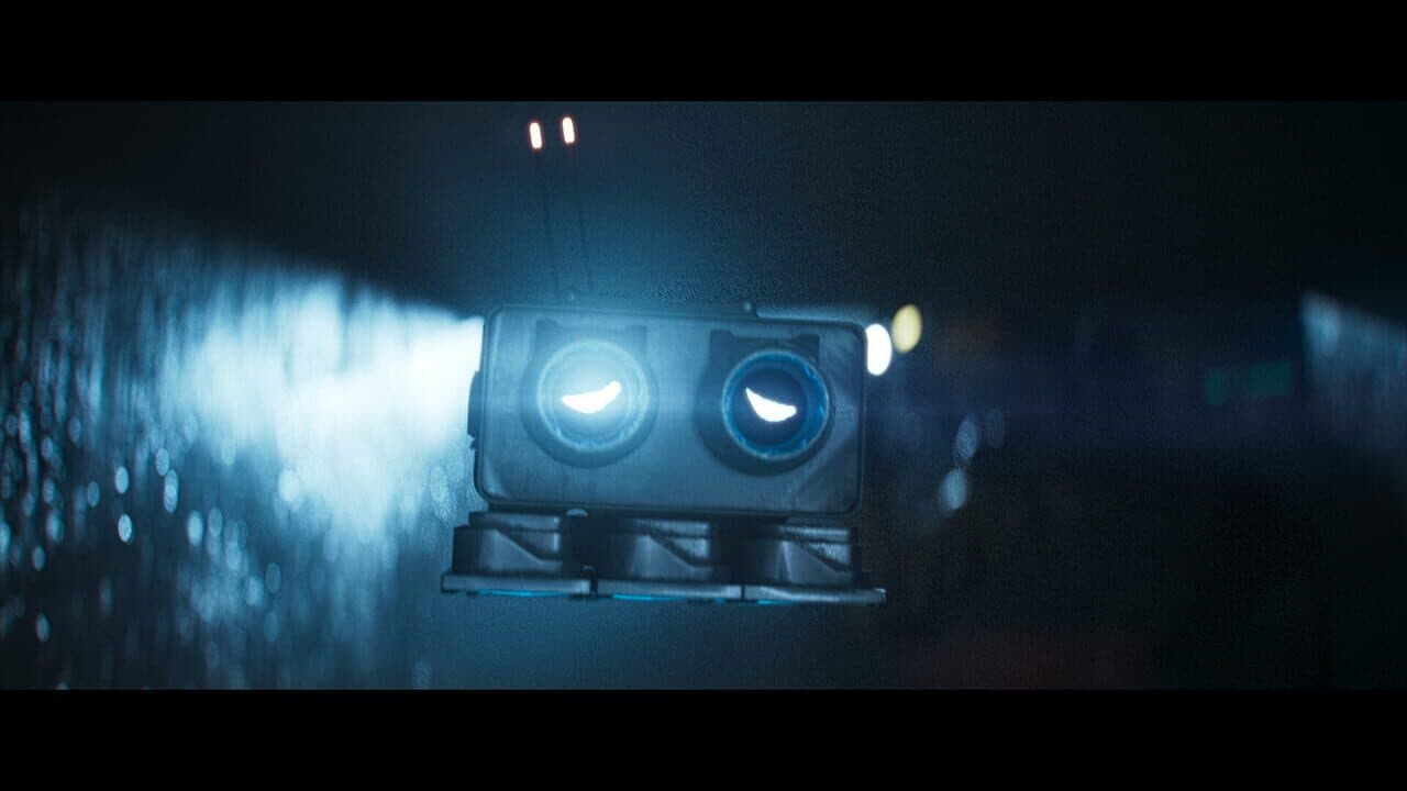 Retrieval thumbnail 6