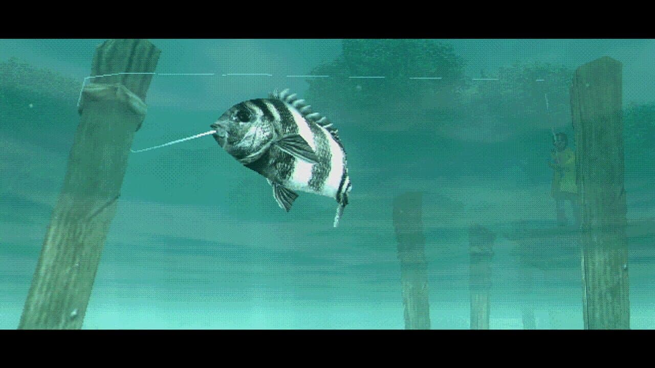 About Fishing thumbnail 9