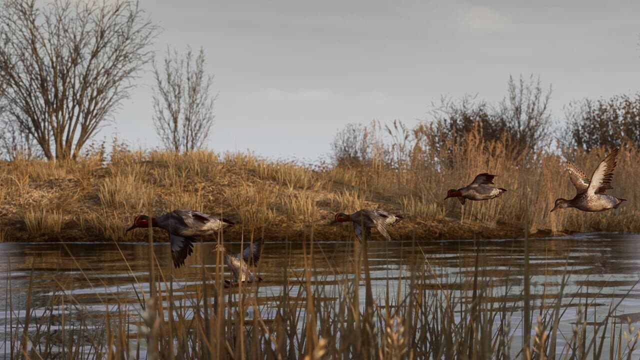 Bult: Hunting Simulator thumbnail 2