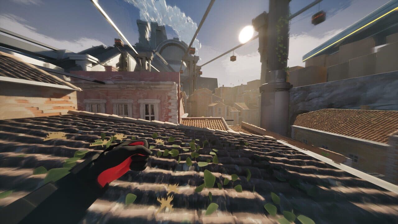 Boars in Rome thumbnail 5