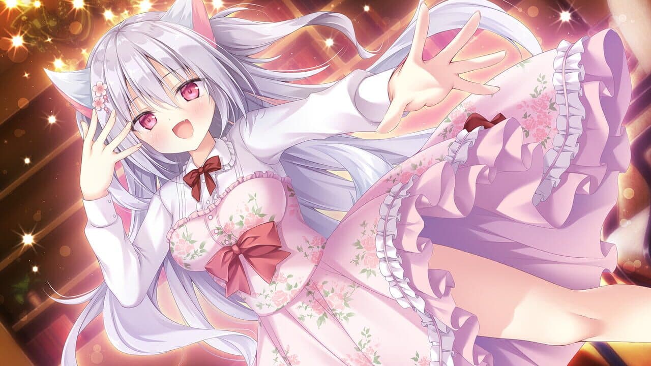 Amairo Chocolate 3 thumbnail 2