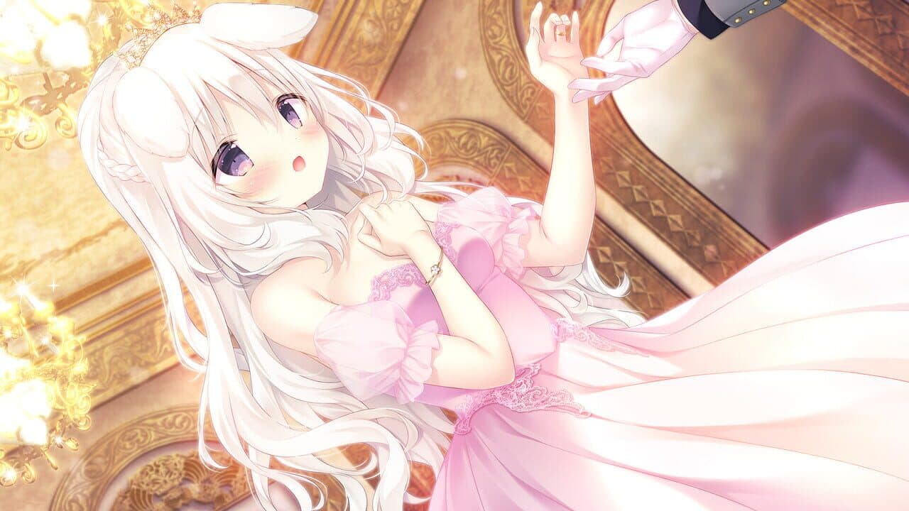 Amairo Chocolate 3 thumbnail 4