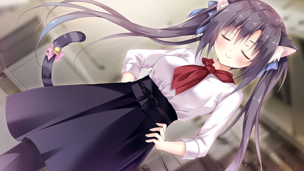 Amairo Chocolate 3 thumbnail 5