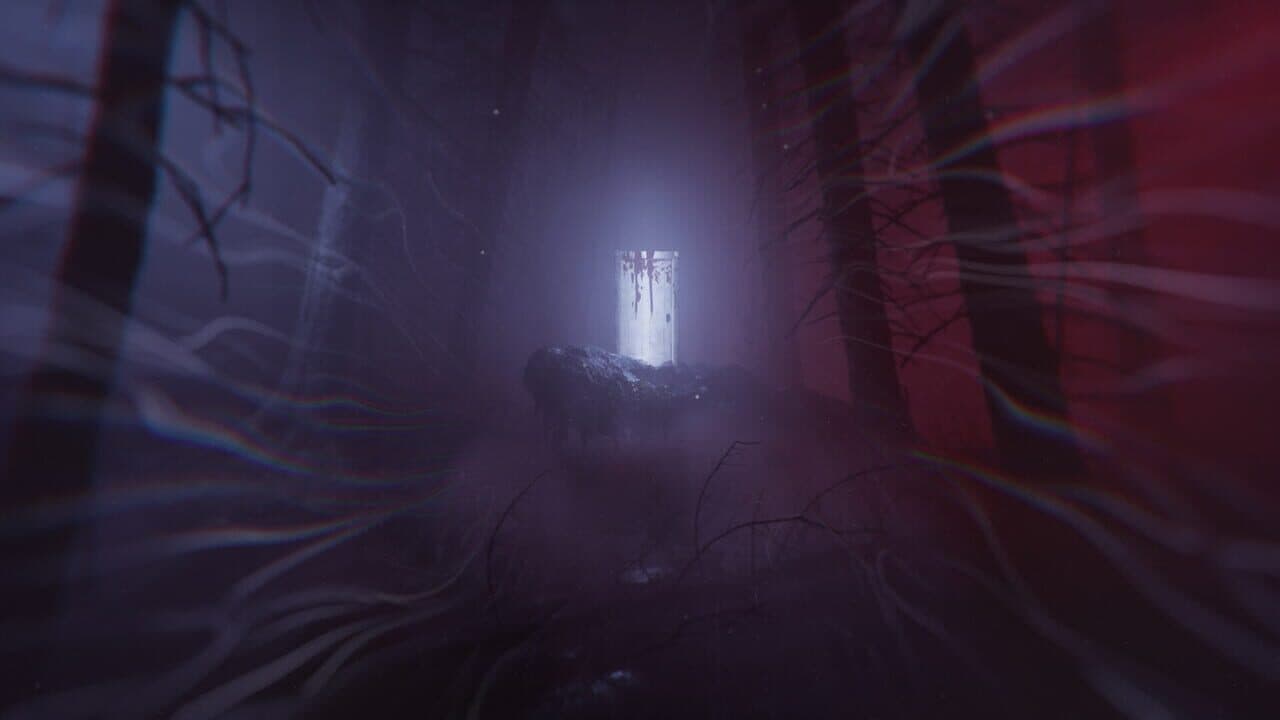 Lucid Falls thumbnail 6