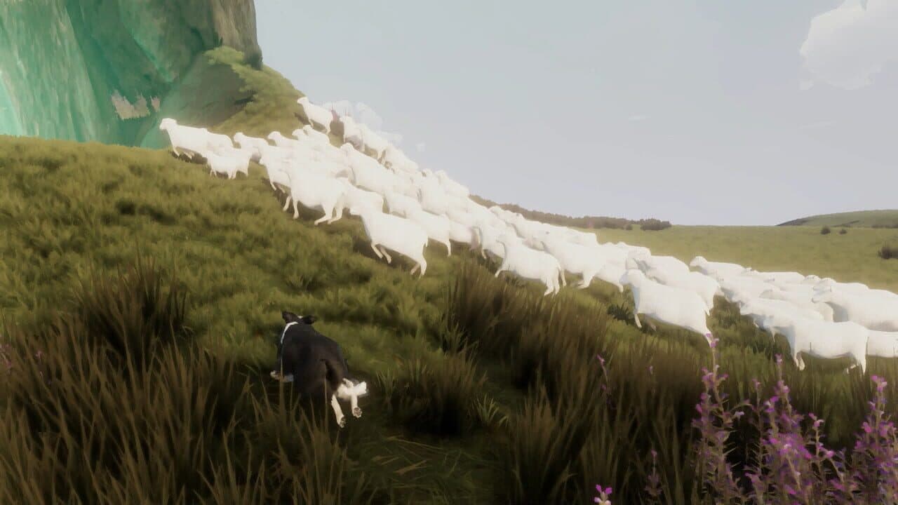 The Free Shepherd thumbnail 6